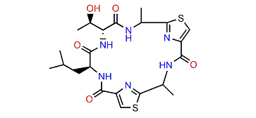 Banyascyclamide B